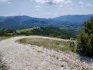 IMG20230617121045.jpg
