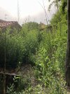 IMG_0628.jpeg
