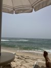 IMG_0639.jpeg