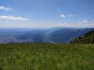 IMG_20230625_135445.jpg