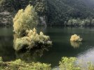 IMG_9623.jpeg