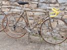 Bicicletta Masi Prestige campagnolo