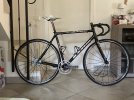 IMG_0367.jpeg