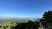 IMG_1312.jpeg IMG_1312.jpeg