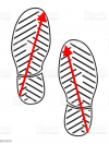 1688721271783.png 1688721271783.png