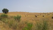 IMG_0767.JPG