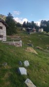 IMG-20230714-WA0003.jpeg