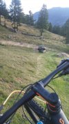 IMG-20230714-WA0005.jpeg