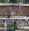 gios.jpg