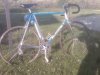 IMG00137-20110424-1815.jpg