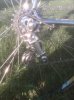 IMG00138-20110424-1815.jpg