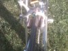 IMG00140-20110424-1815.jpg
