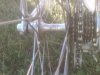 IMG00139-20110424-1815.jpg