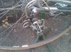 IMG00161-20110504-1206.jpg