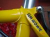 de rosa 002.jpg