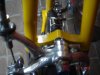 de rosa 006.jpg