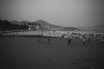 101_0007.jpg