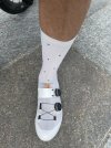 IMG_8555.jpeg