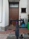 IMG20230716205457.jpg