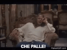 8BoI9z.gif 8BoI9z.gif