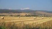 IMG_0773.JPG