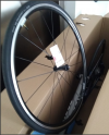 CERCHI DT SWISS P 1800 SPLINE RIM BRAKE NUOVI A METRI ZERO