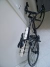 Bici SAVA full carbon