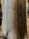 IMG_0989.jpeg
