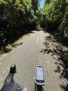 IMG_8957.jpeg