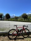 IMG_8965.jpeg