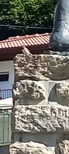 20230805_102947.jpg