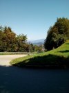 IMG_20230813_141658.jpg