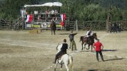 IMG_0859.JPG