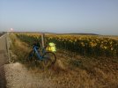IMG-20230818-WA0061.jpg