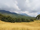 IMG_20230818_110327.jpg