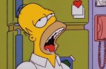 homer-sbava-maxw-1280.jpg homer-sbava-maxw-1280.jpg