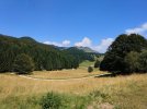 IMG_20230823_125257.jpg