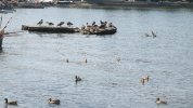IMG_0885.JPG