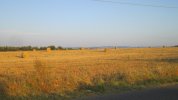 IMG_0894.JPG