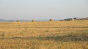IMG_0896.JPG