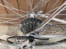 bdc colnago 03.jpg