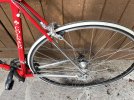 bdc colnago 09.jpg