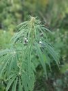20230822_185736.jpg 20230822_185736.jpg