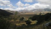 IMG_0975.JPG