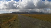 IMG_1009.JPG