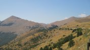 IMG_1063.JPG