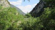 IMG_1085.JPG