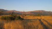 IMG_1108.JPG