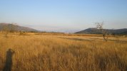 IMG_1105.JPG