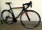 Dedacciai Gladiatore tg.52